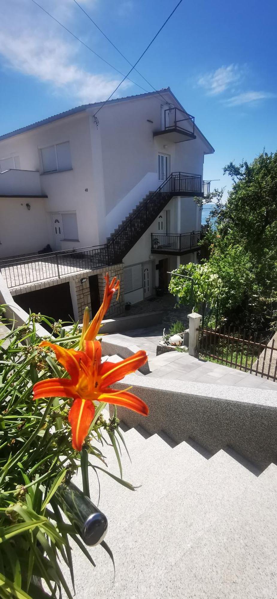 Apartment Eden Цриквениця Екстер'єр фото